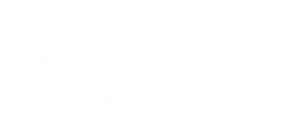 Universidad CNCI